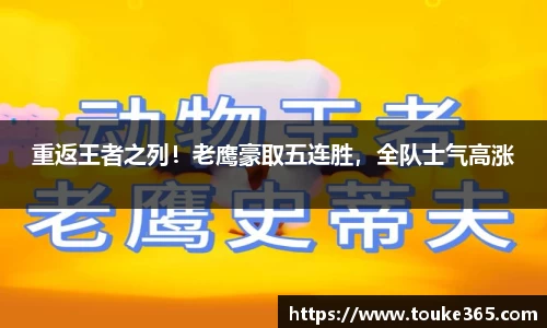 悟空·体育平台